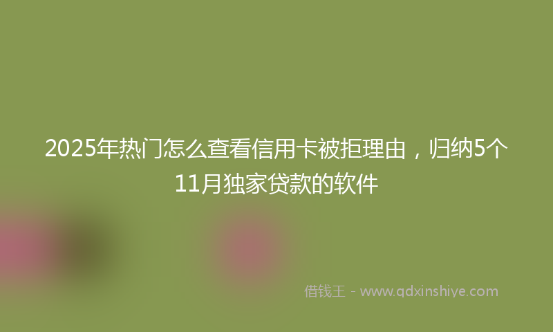 2025年热门怎么查看信用卡被拒理由，归纳5个11月独家贷款的软件