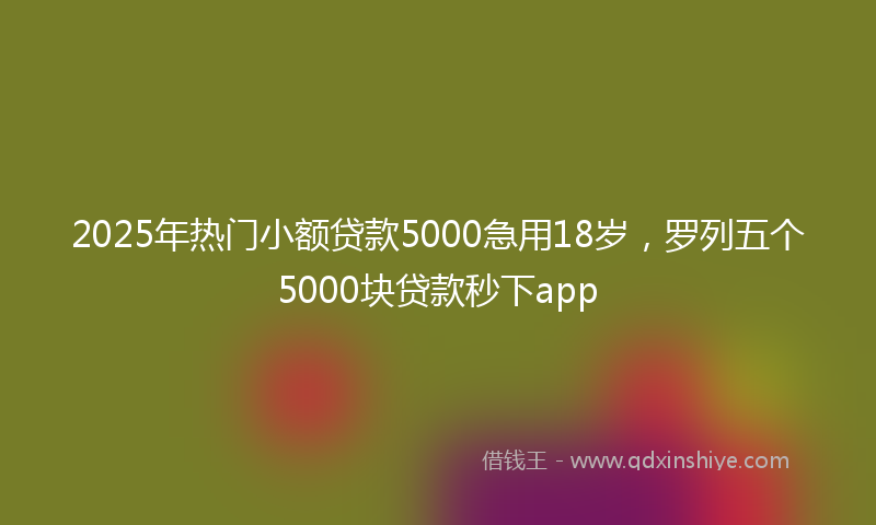 2025年热门小额贷款5000急用18岁，罗列五个5000块贷款秒下app