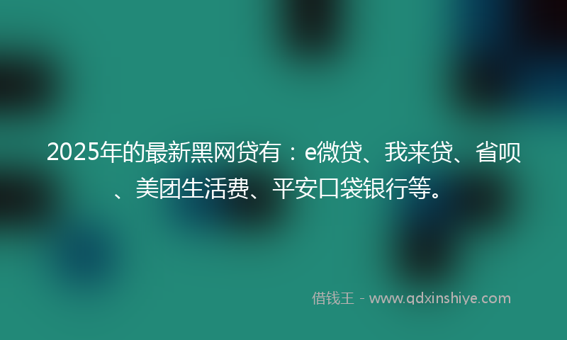 2025年的最新黑网贷有：e微贷、我来贷、省呗、美团生活费、平安口袋银行等。