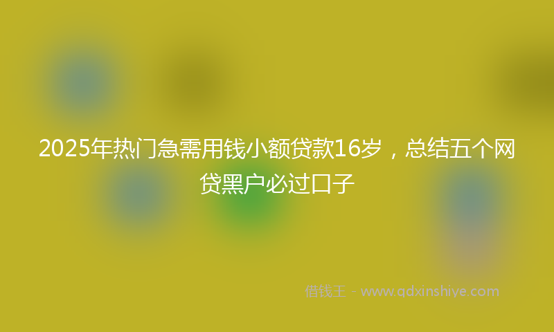 2025年热门急需用钱小额贷款16岁，总结五个网贷黑户必过口子