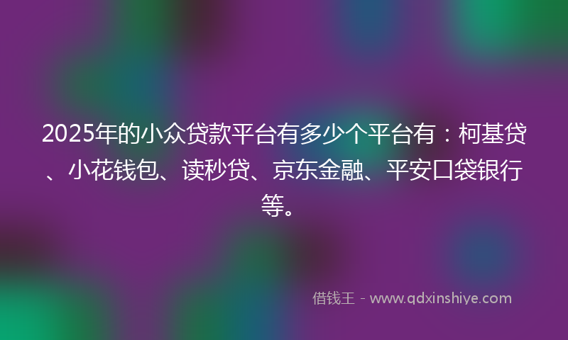 2025年的小众贷款平台有多少个平台有：柯基贷、小花钱包、读秒贷、京东金融、平安口袋银行等。