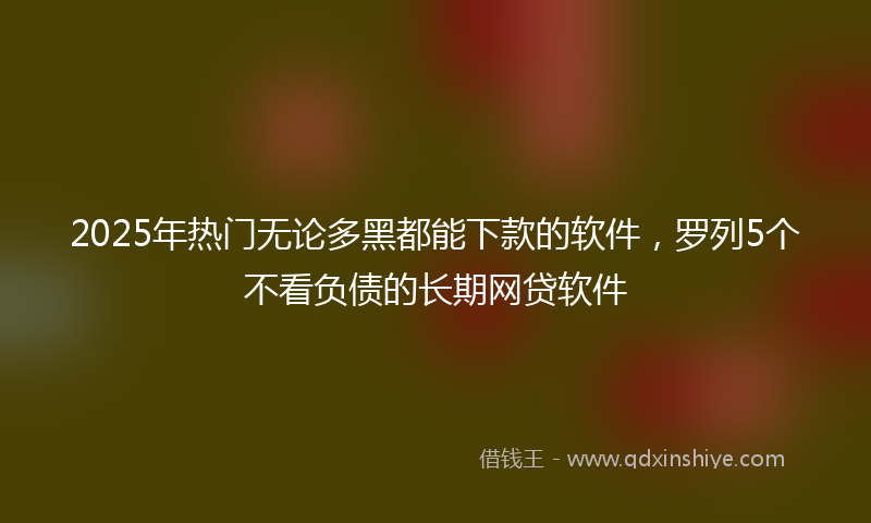 2025年热门无论多黑都能下款的软件，罗列5个不看负债的长期网贷软件