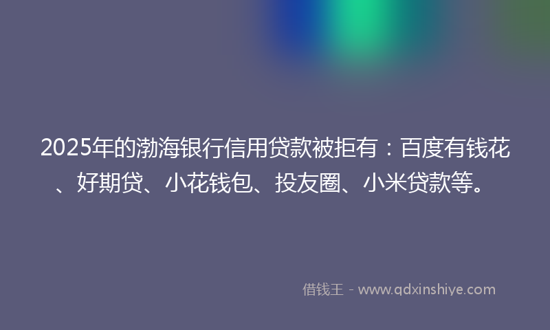 2025年的渤海银行信用贷款被拒有：百度有钱花、好期贷、小花钱包、投友圈、小米贷款等。