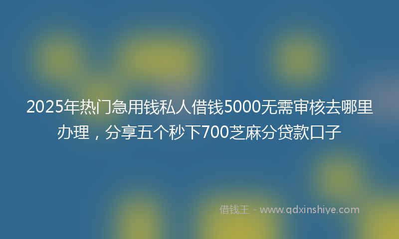 2025年热门急用钱私人借钱5000无需审核去哪里办理，分享五个秒下700芝麻分贷款口子