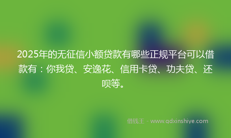 2025年的无征信小额贷款有哪些正规平台可以借款有：你我贷、安逸花、信用卡贷、功夫贷、还呗等。