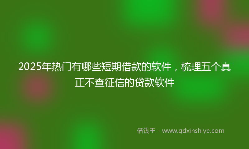 2025年热门有哪些短期借款的软件，梳理五个真正不查征信的贷款软件
