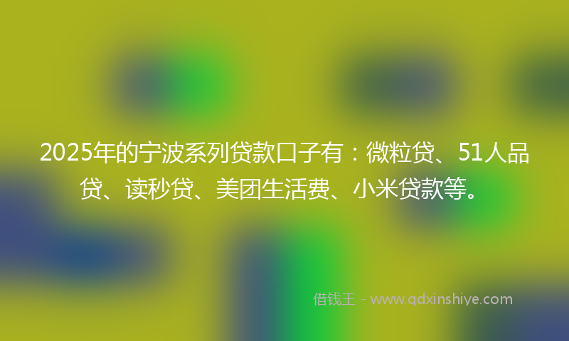 2025年的宁波系列贷款口子有：微粒贷、51人品贷、读秒贷、美团生活费、小米贷款等。