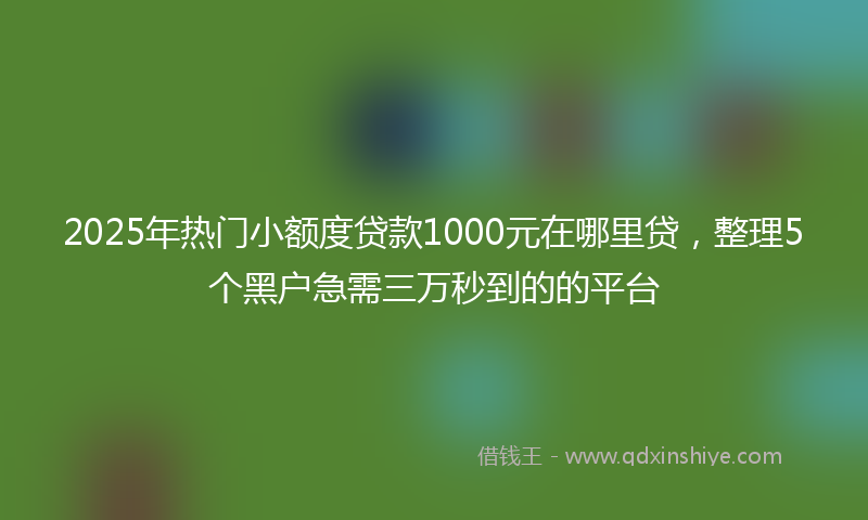 2025年热门小额度贷款1000元在哪里贷，整理5个黑户急需三万秒到的的平台