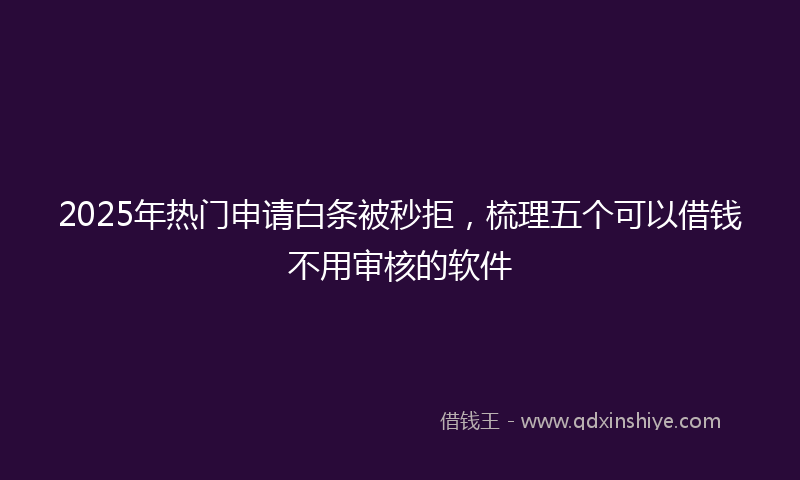 2025年热门申请白条被秒拒，梳理五个可以借钱不用审核的软件