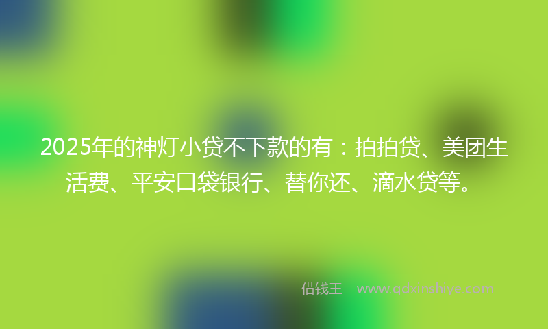 2025年的神灯小贷不下款的有：拍拍贷、美团生活费、平安口袋银行、替你还、滴水贷等。