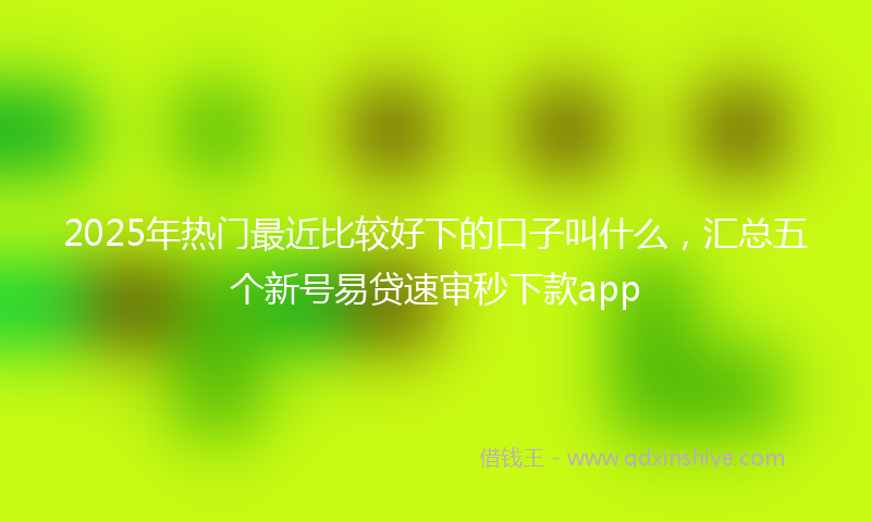 2025年热门最近比较好下的口子叫什么，汇总五个新号易贷速审秒下款app