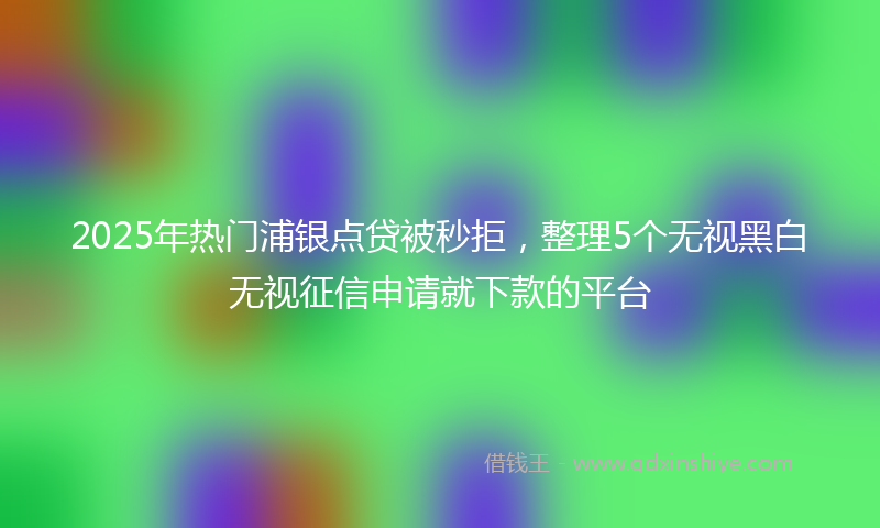 2025年热门浦银点贷被秒拒，整理5个无视黑白无视征信申请就下款的平台