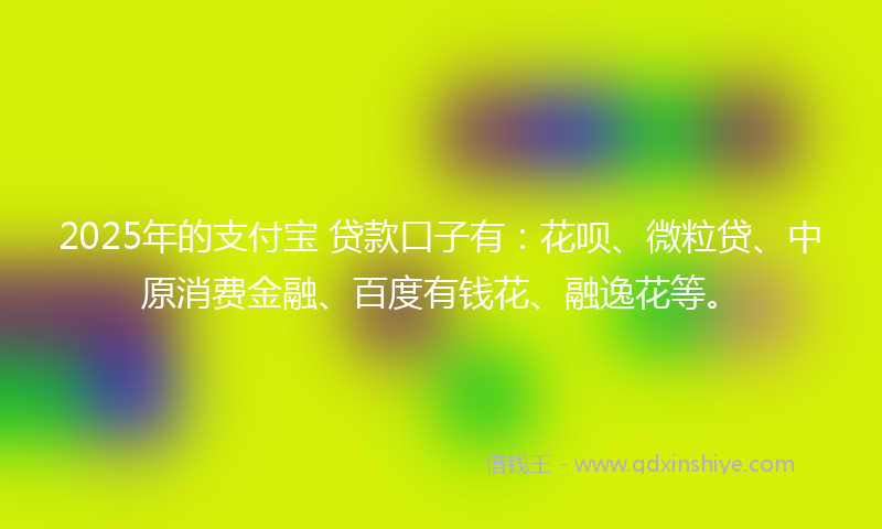 2025年的支付宝 贷款口子有：花呗、微粒贷、中原消费金融、百度有钱花、融逸花等。