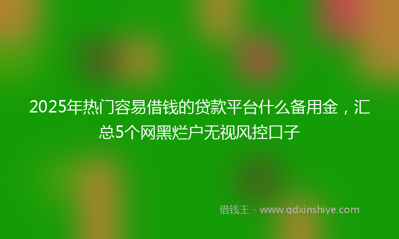 2025年热门容易借钱的贷款平台什么备用金，汇总5个网黑烂户无视风控口子