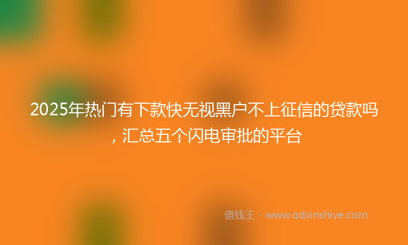 2025年热门有下款快无视黑户不上征信的贷款吗，汇总五个闪电审批的平台