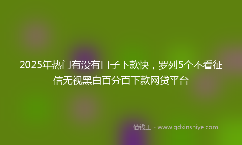 2025年热门有没有口子下款快，罗列5个不看征信无视黑白百分百下款网贷平台