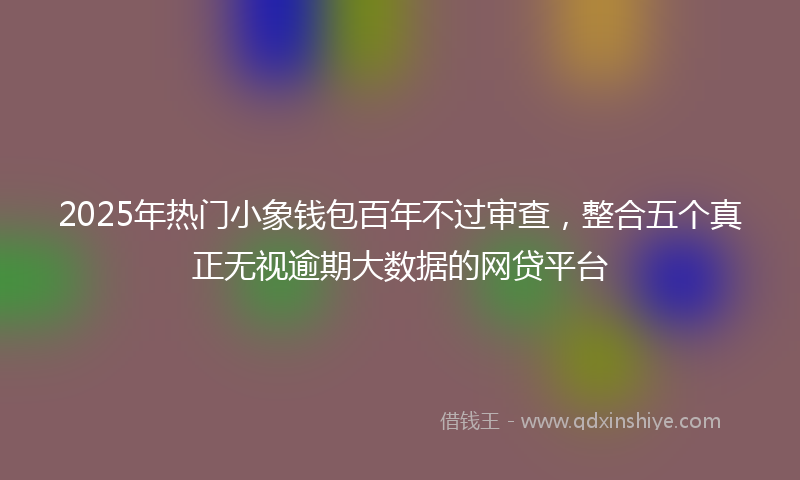 2025年热门小象钱包百年不过审查，整合五个真正无视逾期大数据的网贷平台