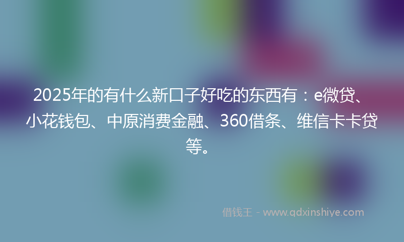 2025年的有什么新口子好吃的东西有：e微贷、小花钱包、中原消费金融、360借条、维信卡卡贷等。