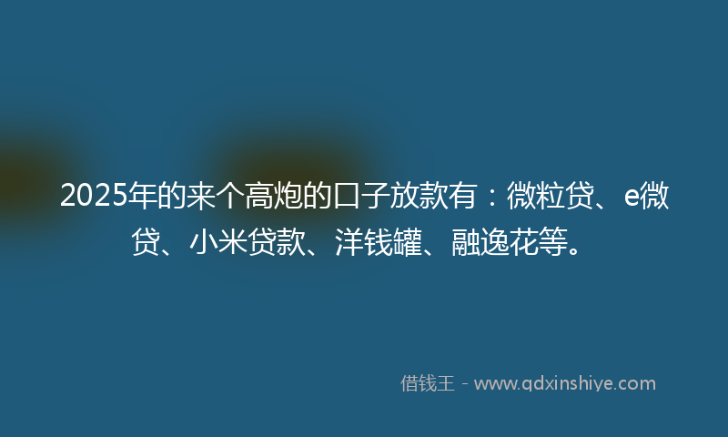 2025年的来个高炮的口子放款有：微粒贷、e微贷、小米贷款、洋钱罐、融逸花等。
