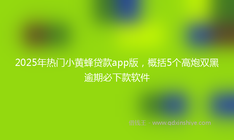 2025年热门小黄蜂贷款app版，概括5个高炮双黑逾期必下款软件