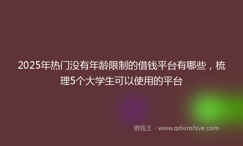 2025年热门没有年龄限制的借钱平台有哪些，梳理5个大学生可以使用的平台