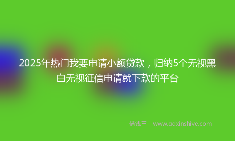 2025年热门我要申请小额贷款，归纳5个无视黑白无视征信申请就下款的平台