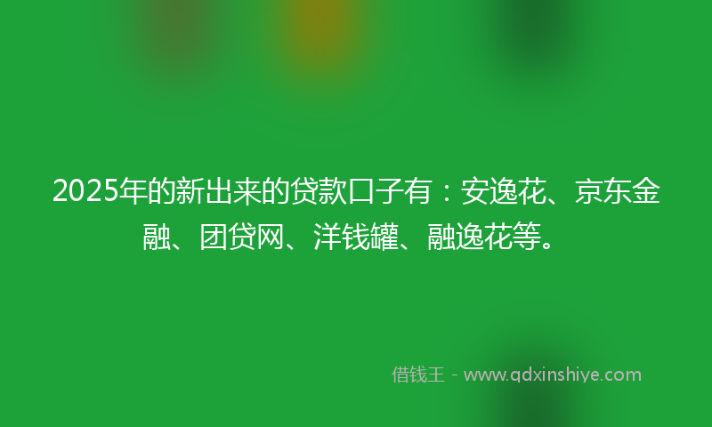 2025年的新出来的贷款口子有：安逸花、京东金融、团贷网、洋钱罐、融逸花等。