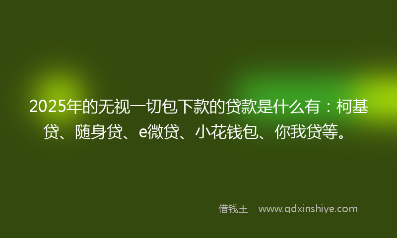 2025年的无视一切包下款的贷款是什么有：柯基贷、随身贷、e微贷、小花钱包、你我贷等。