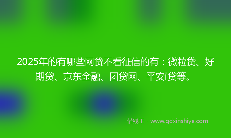 2025年的有哪些网贷不看征信的有：微粒贷、好期贷、京东金融、团贷网、平安i贷等。