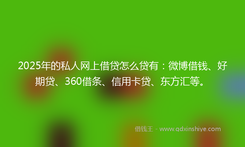 2025年的私人网上借贷怎么贷有：微博借钱、好期贷、360借条、信用卡贷、东方汇等。