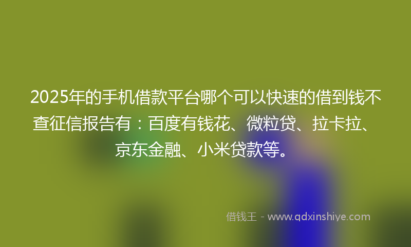 2025年的手机借款平台哪个可以快速的借到钱不查征信报告有：百度有钱花、微粒贷、拉卡拉、京东金融、小米贷款等。
