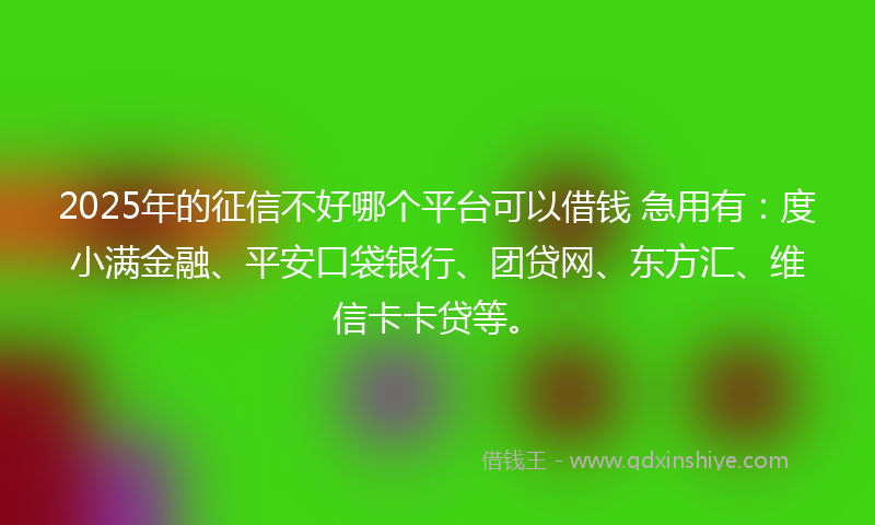2025年的征信不好哪个平台可以借钱 急用有：度小满金融、平安口袋银行、团贷网、东方汇、维信卡卡贷等。
