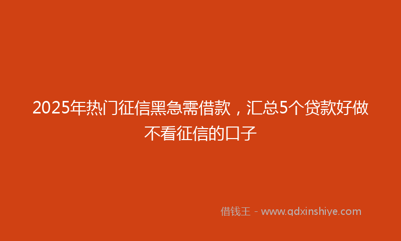 2025年热门征信黑急需借款，汇总5个贷款好做不看征信的口子