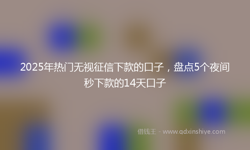 2025年热门无视征信下款的口子，盘点5个夜间秒下款的14天口子