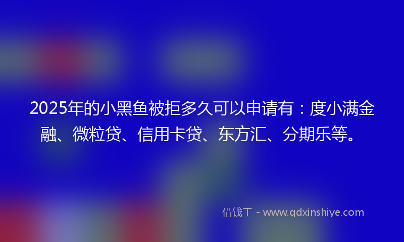 2025年的小黑鱼被拒多久可以申请有：度小满金融、微粒贷、信用卡贷、东方汇、分期乐等。