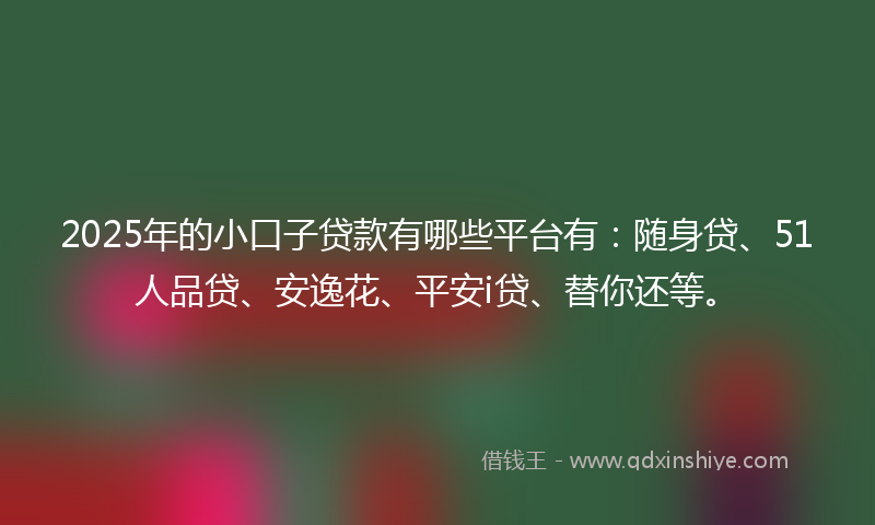 2025年的小口子贷款有哪些平台有：随身贷、51人品贷、安逸花、平安i贷、替你还等。