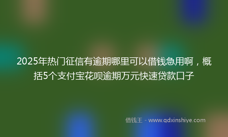 2025年热门征信有逾期哪里可以借钱急用啊，概括5个支付宝花呗逾期万元快速贷款口子