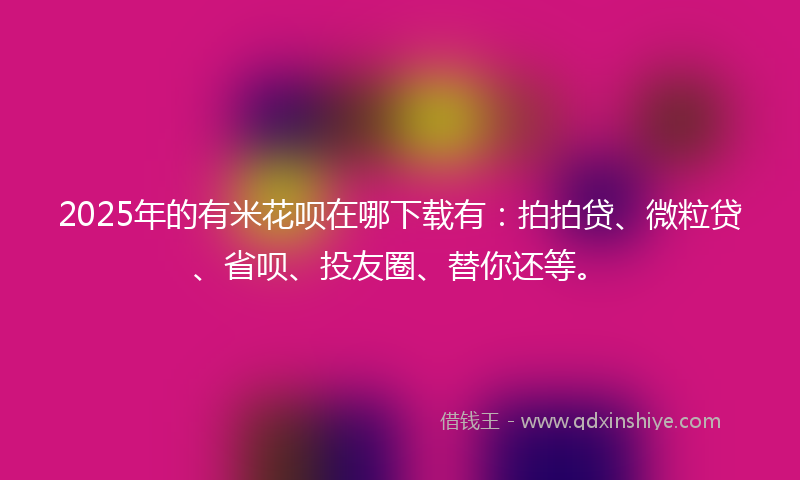 2025年的有米花呗在哪下载有：拍拍贷、微粒贷、省呗、投友圈、替你还等。
