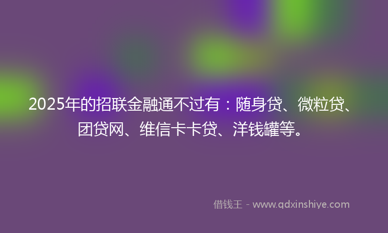 2025年的招联金融通不过有：随身贷、微粒贷、团贷网、维信卡卡贷、洋钱罐等。