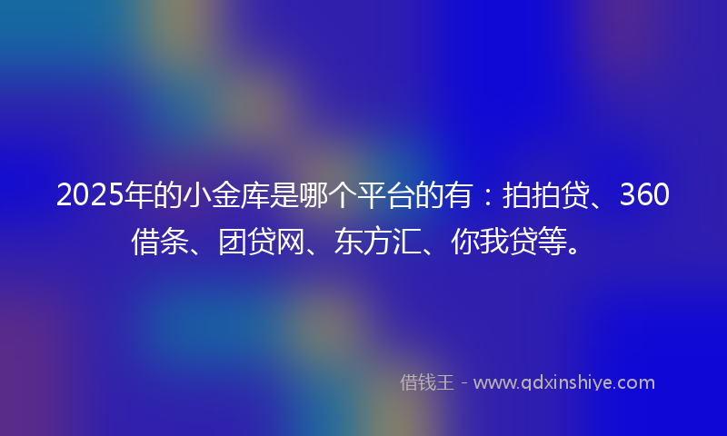 2025年的小金库是哪个平台的有：拍拍贷、360借条、团贷网、东方汇、你我贷等。