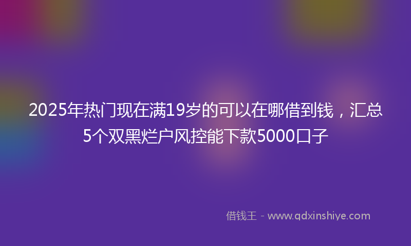 2025年热门现在满19岁的可以在哪借到钱，汇总5个双黑烂户风控能下款5000口子
