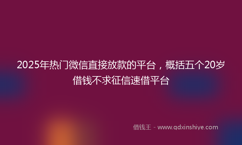 2025年热门微信直接放款的平台，概括五个20岁借钱不求征信速借平台
