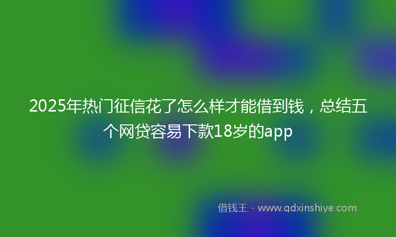 2025年热门征信花了怎么样才能借到钱，总结五个网贷容易下款18岁的app