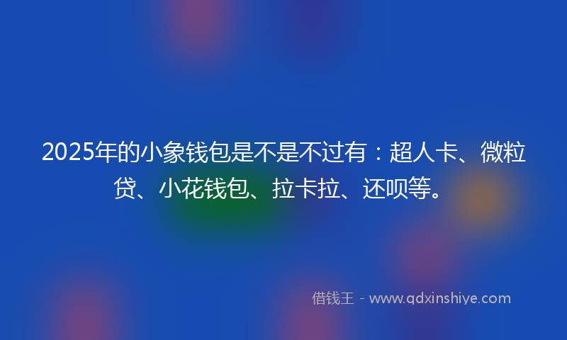 2025年的小象钱包是不是不过有：超人卡、微粒贷、小花钱包、拉卡拉、还呗等。