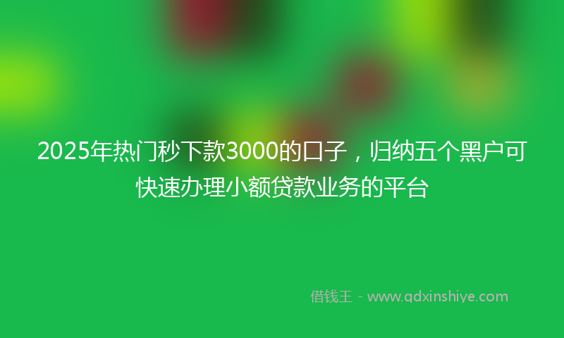 2025年热门秒下款3000的口子，归纳五个黑户可快速办理小额贷款业务的平台