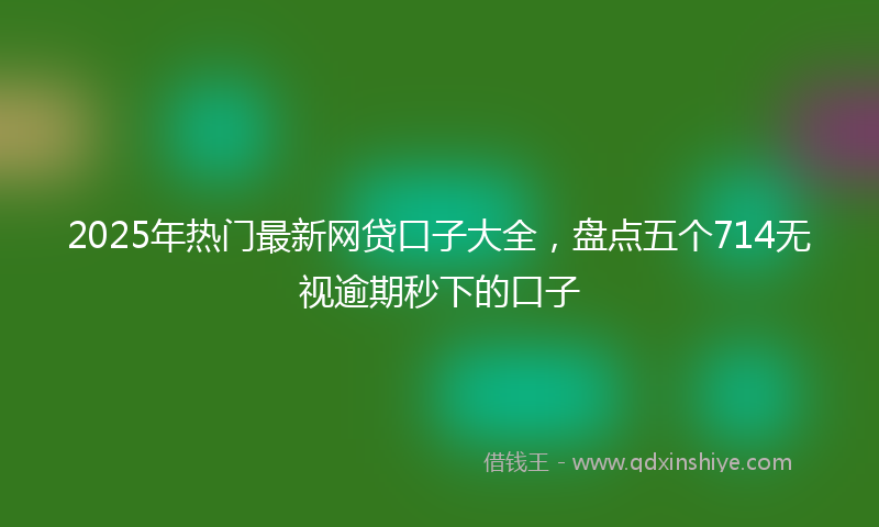2025年热门最新网贷口子大全，盘点五个714无视逾期秒下的口子