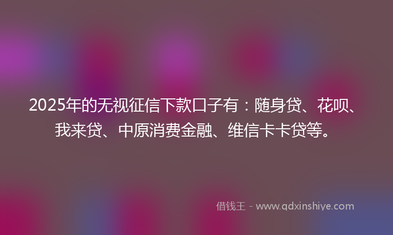 2025年的无视征信下款口子有：随身贷、花呗、我来贷、中原消费金融、维信卡卡贷等。