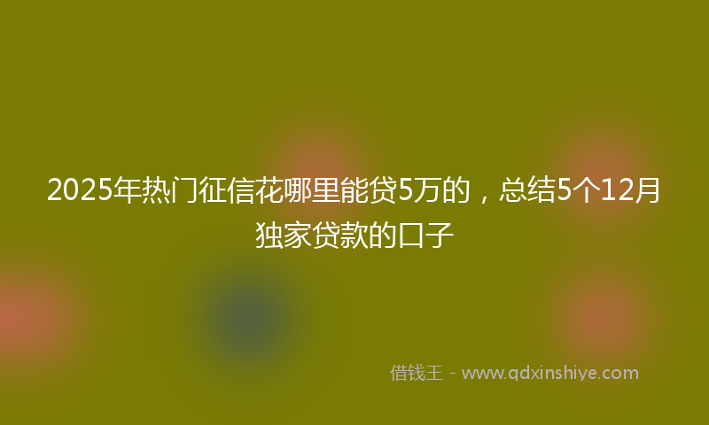 2025年热门征信花哪里能贷5万的，总结5个12月独家贷款的口子