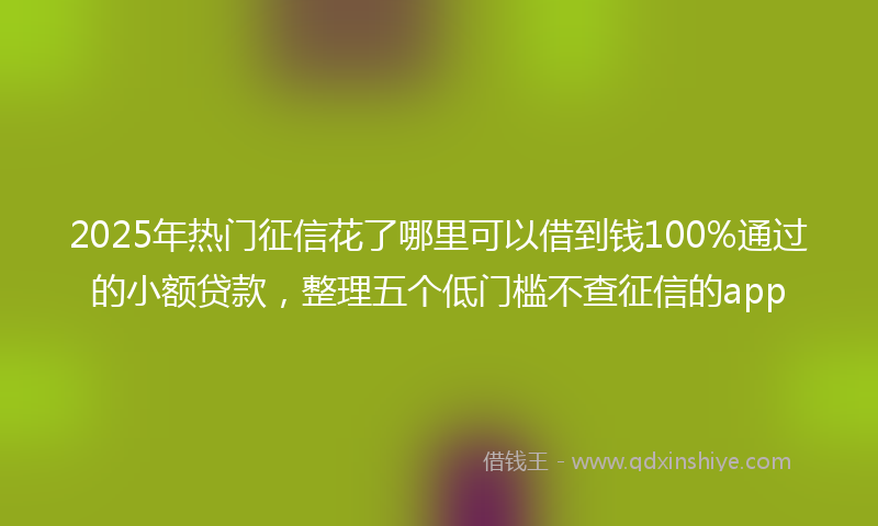 2025年热门征信花了哪里可以借到钱100%通过的小额贷款，整理五个低门槛不查征信的app
