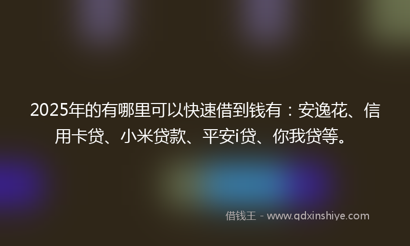 2025年的有哪里可以快速借到钱有：安逸花、信用卡贷、小米贷款、平安i贷、你我贷等。
